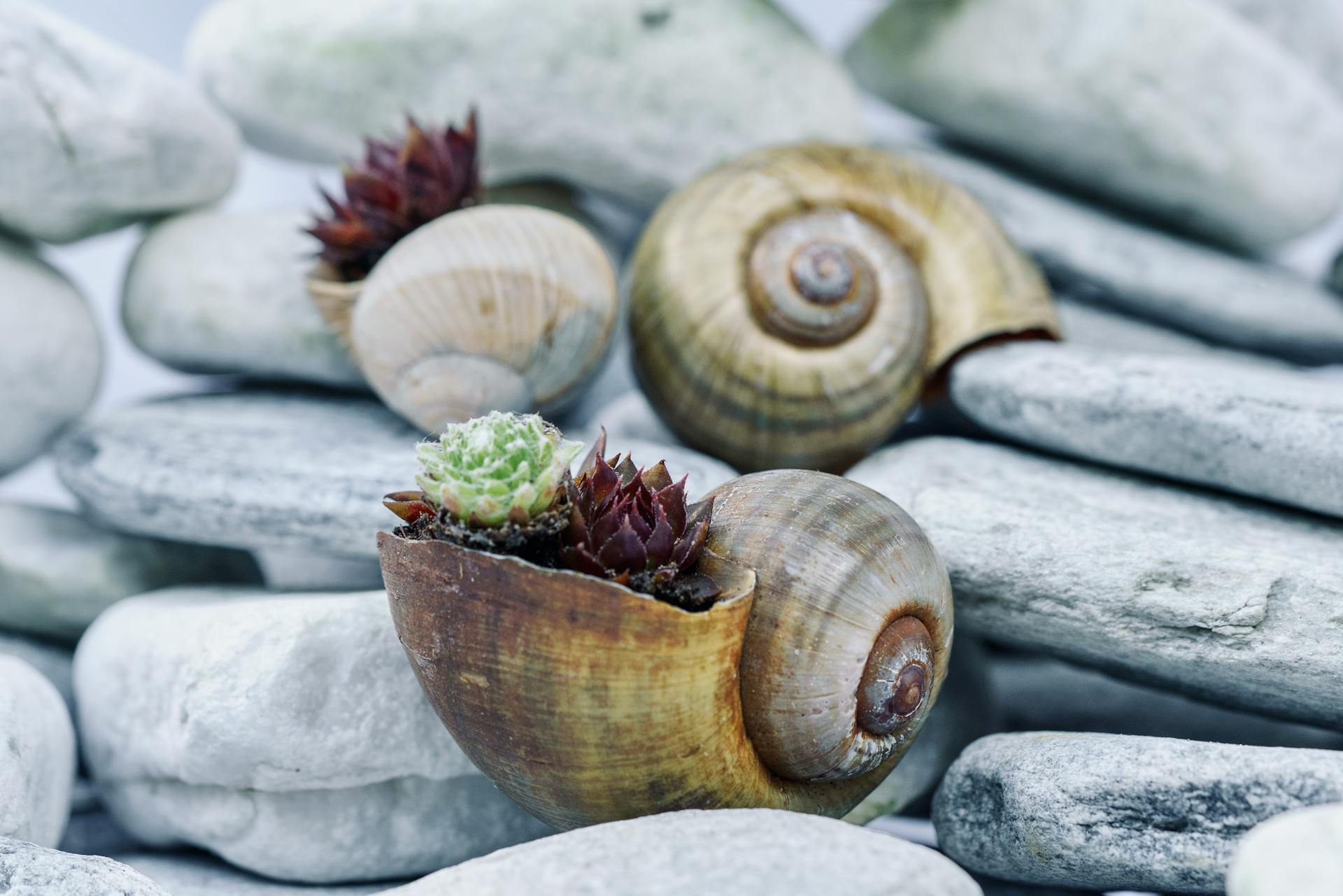 Sustainable DIY Projects Using Recycled Materials